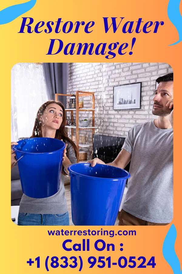 water restoration Sterling Water Cleanup Force Nicollet
