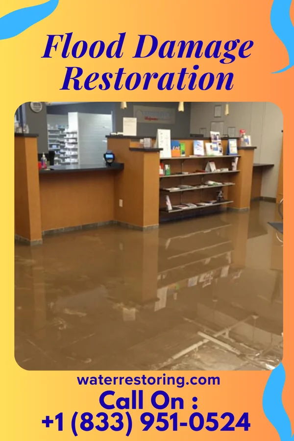 Flood Damage Restoration in Nicollet, MN
