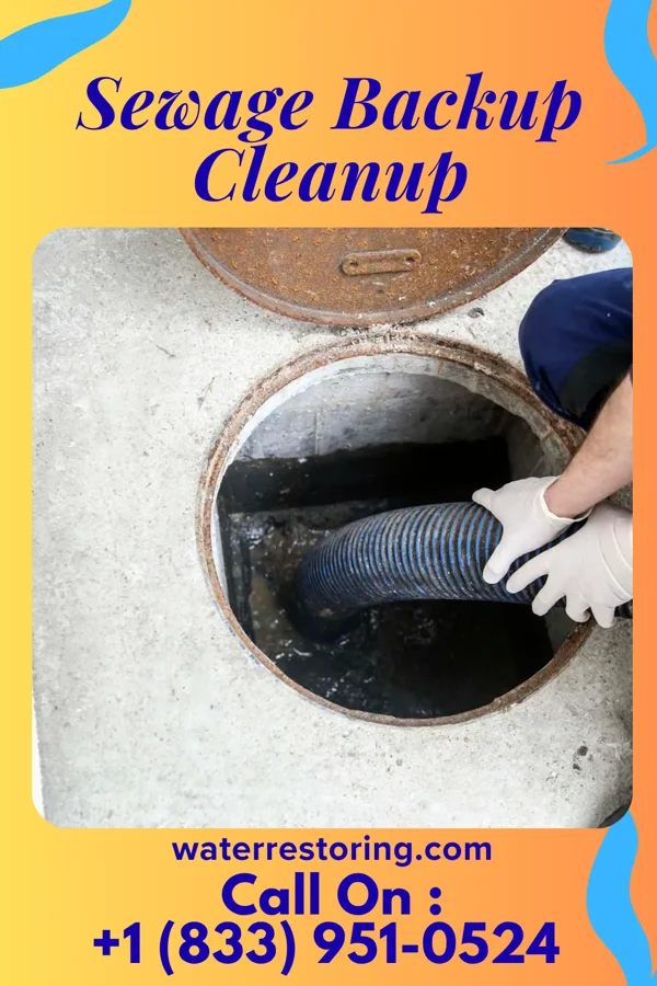 Sewage Backup Cleanup in Nicollet, MN